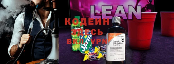 стаф Аркадак