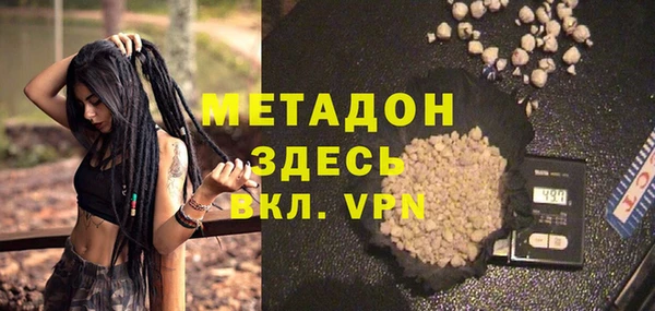 стаф Аркадак