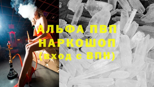 стаф Аркадак