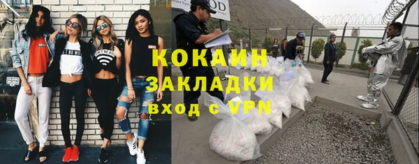 стаф Аркадак
