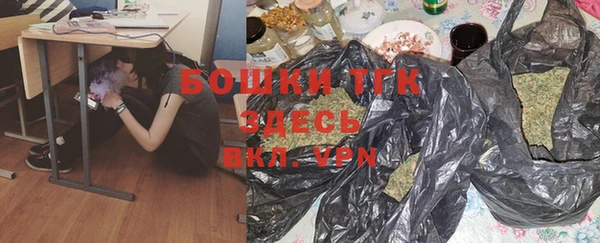 стаф Аркадак
