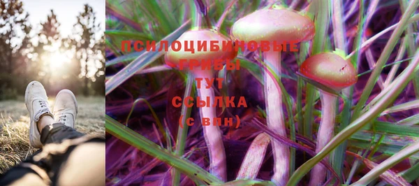 ALPHA PVP Алексеевка