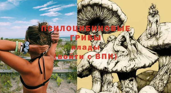 кокс Арсеньев