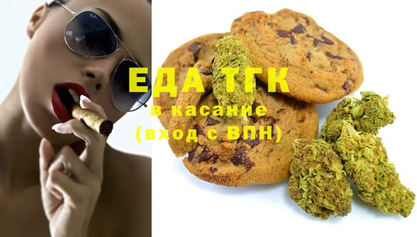 стаф Аркадак