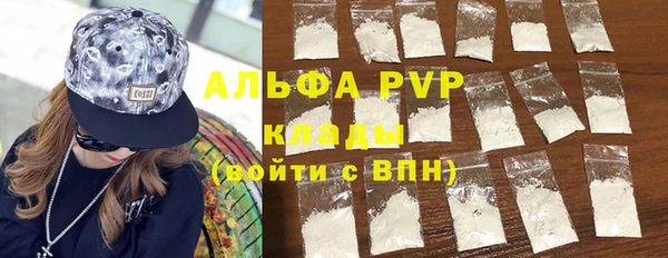 стаф Аркадак