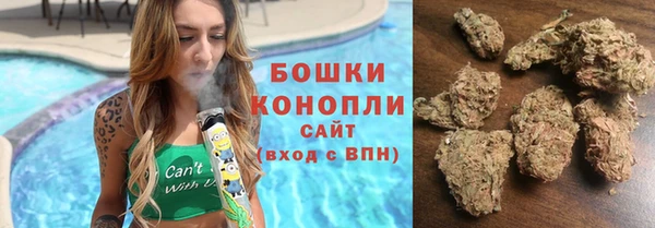 кокс Арсеньев