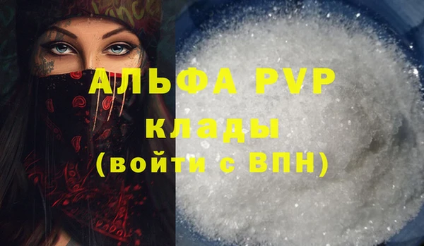 стаф Аркадак